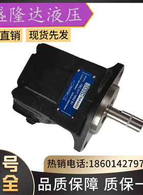 派克PARKER丹尼逊DENISON油泵T6DM-B17-3R00-C1;T6DM-B45-2R00-C1