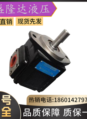 丹尼逊T6CC-B25-B12-5L00-C10船舶油泵T6EES-072-062-5R00-A10-M0