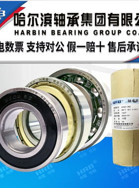 hrb哈尔滨轴承6200 6201 6202 6203 6204 6205 rz zz双密封深沟球
