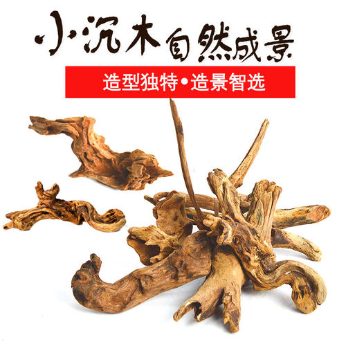 水族造景带造型小沉木紫柚木