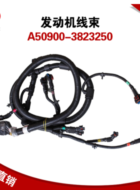 天龙A50900-3823250发动机线束天然气发动机配件A50000-3823250