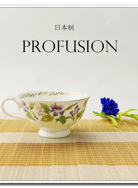 国内现货日本进口PROFUSION骨瓷咖啡杯单杯 日式高档咖啡具红茶杯