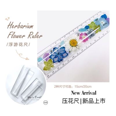 岩喜| 浮游花滴胶压花永生花干花DIY空心尺