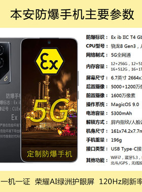 荣i耀GT防爆手机 5G全网通CT4气体粉尘化工石油EX巡检医药工业NFC