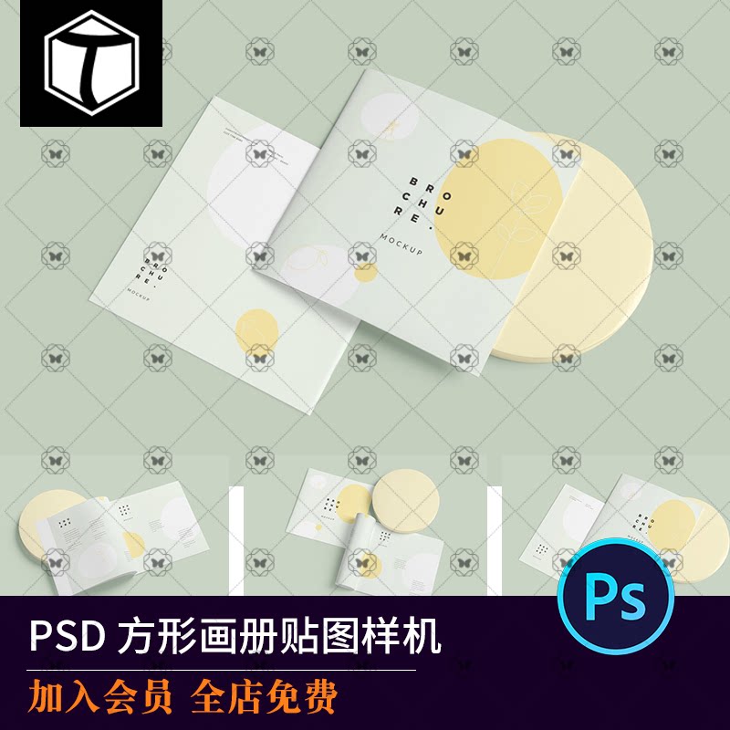 正方形画册VIPSD样图模板图片