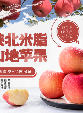 陕北米脂高西沟山地苹果陕西特产红富士一箱12斤6000g姬小米家
