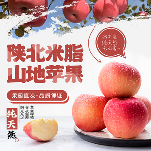 陕北米脂高西沟山地苹果陕西特产红富士一箱12斤6000g姬小米家