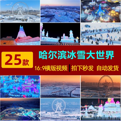 S0119哈尔滨第二十五届冰雪大世界雪景舞台背景视频素材-
