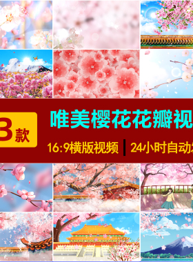 S0007唯美春天粉色白色浪漫樱花节富士日本树林花瓣飘落视频素材