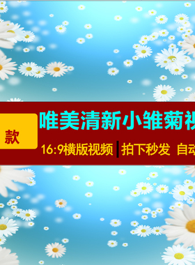 S0159唯美小清新小雏菊白菊花蓝色唯美舞台LED大屏幕背景视频素材