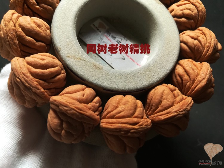 【般诺空间】秦岭野生大龙纹桃核矮桩飞碟 霸王龙老树精品籽|ruв категории Украшения,ювелирные изделия, чётки/Вуди руки строка, чётки/чётки - от Buy2taobao.com для оказания профессиональной услуги покупки агента Taobao