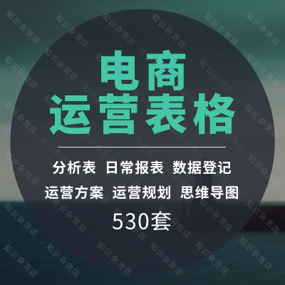 电商运营表格模板管理数据分析计划客服考核资料EXCEL常用表格