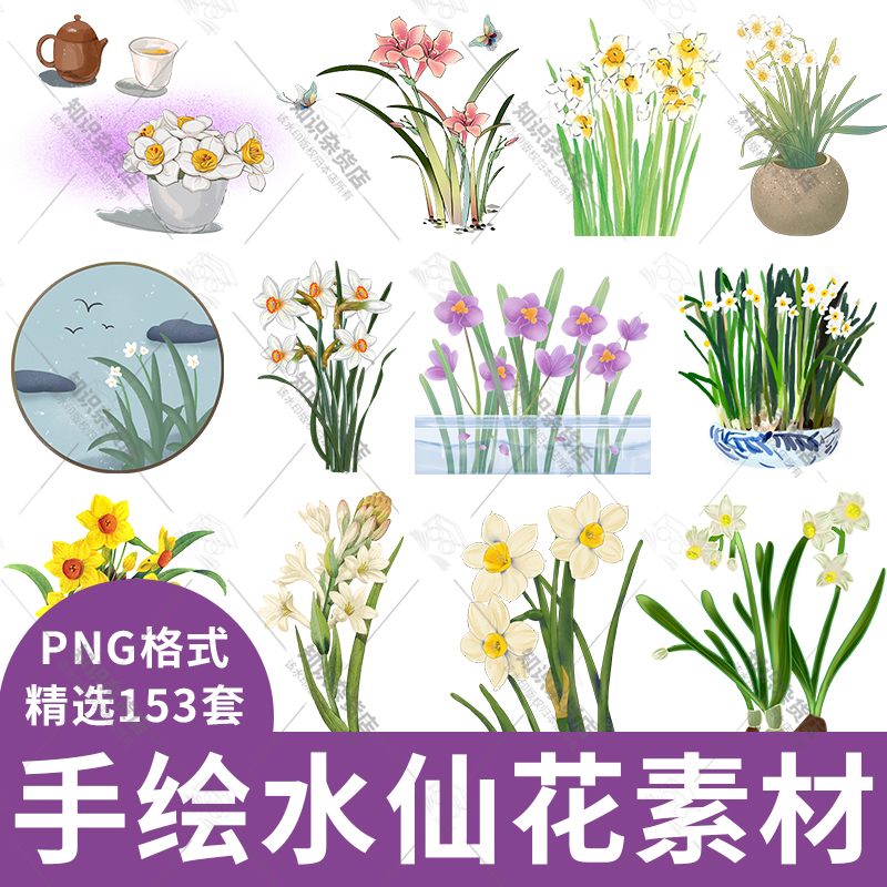 卡通手绘水仙花花朵花卉插画插图海报背景PNG免抠装饰设计素材图图片