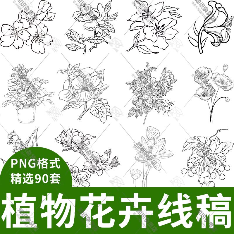 手绘植物花卉临摹线稿速写铅笔黑白简笔画素描手稿PNG设计素材图