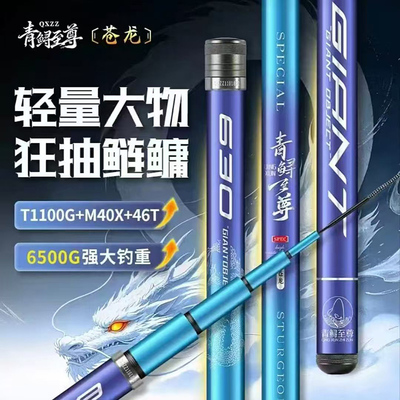 苍龙12H轻量版大物杆渔具