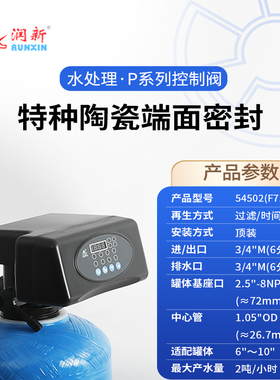 过滤阀54502(F71P1)润新水处理设备控制阀头阀门每小时2吨产水量