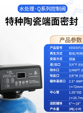 软化阀65503(F117Q1) 65603(F117Q3)水处理设备软水器3吨流量阀头