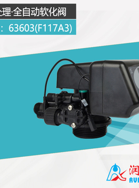 全自动软化阀63503(F117A1) 63603(F117A3)