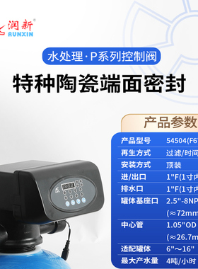 过滤阀54504(F67P1)润新自动控制阀头阀门4吨/每小时产水量水处理