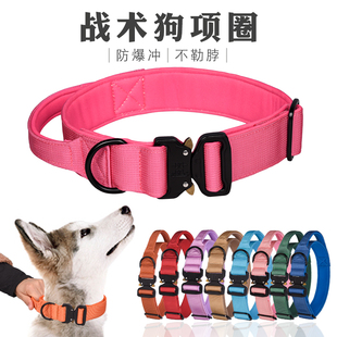 新款战术户外狗项圈防爆冲宠物项圈中大型马犬德牧可调节狗脖圈子