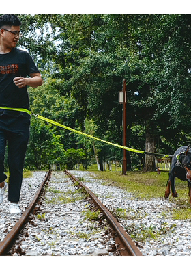 宠物牵引可伸缩遛狗绳跑步蓝色弹力绳遛狗狗链子中小型犬宠物用品