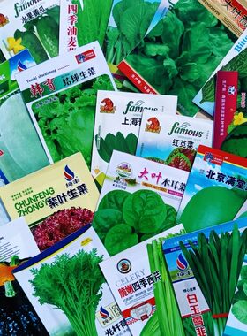 全部彩图厂家封装蔬菜种子品种全