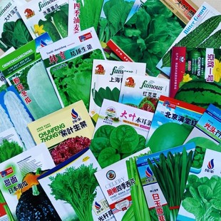 全部彩图厂家封装蔬菜种子品种齐全菜种大全青菜水果种籽彩包菜
