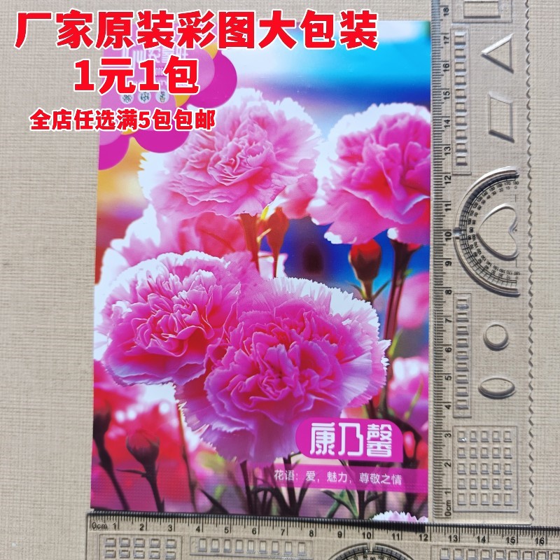 彩图厂家封装康乃馨种子300粒/包