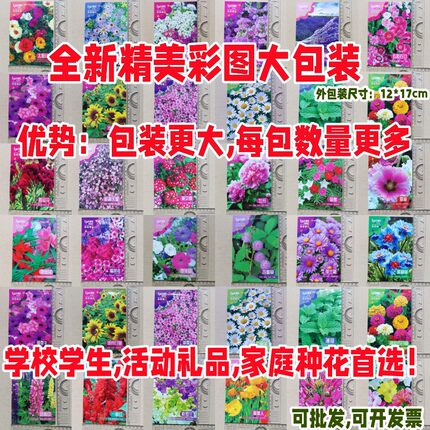 花卉种子彩袋厂家封装学生科学实践种花活动礼品种籽彩包满5包邮