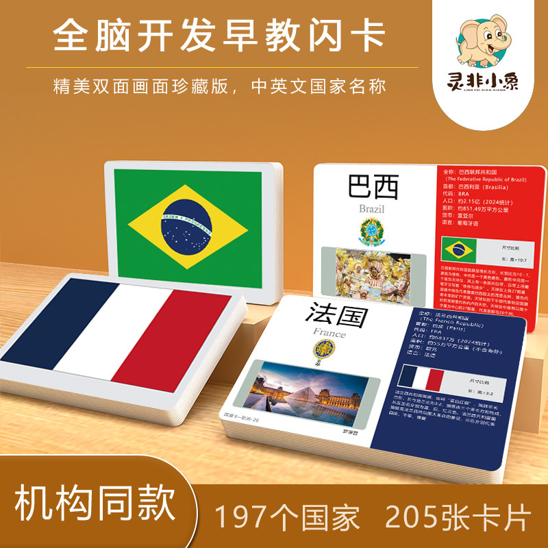 灵非小象早教认知闪卡图片