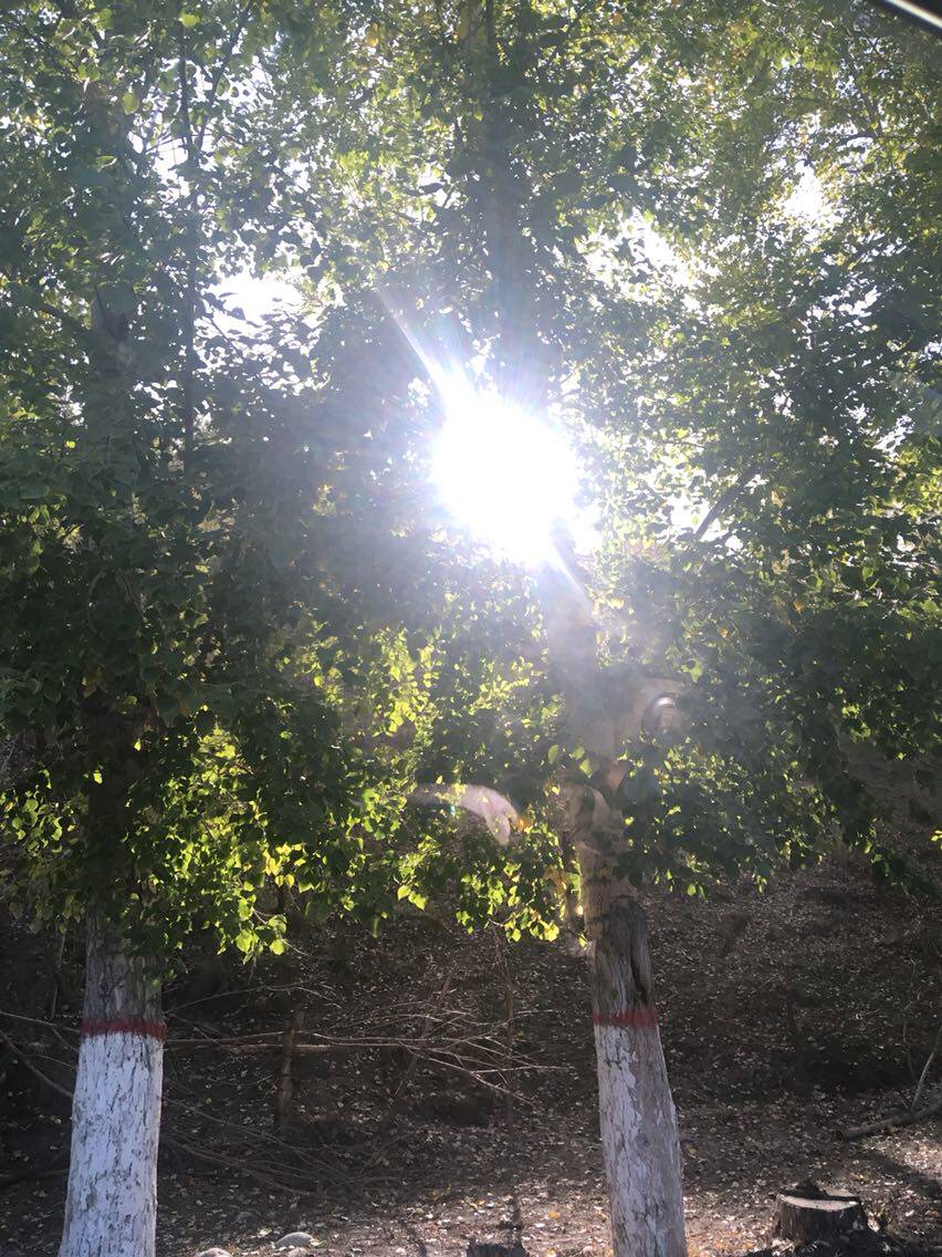 cos假发福袋 日常假发福袋