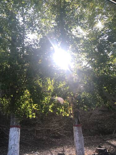 cos假发福袋 日常假发福袋