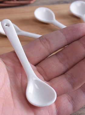家用挖盐勺陶瓷调料勺厨房盐罐辣椒粉佐料舀勺小号勺子调料罐配件