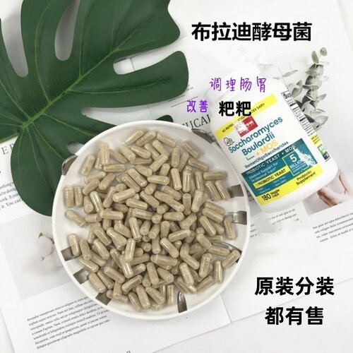 布拉迪美国益生菌调理肠胃猫狗