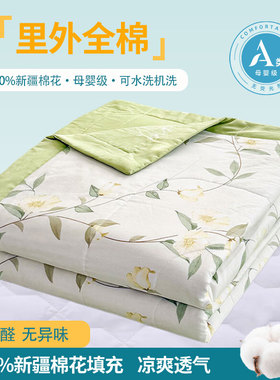 2026新款A类里外全棉新疆棉100单人双人夏被夏凉被空调被四件套件