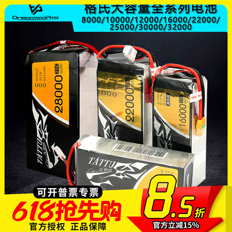 ACE格氏10000 12000 16000 22000 25000 32000mah格式大容量电池