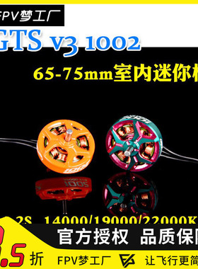 FPV RCinpower 致盈动力 GTS V3 1002 无刷 电机 65/75mm 穿越机