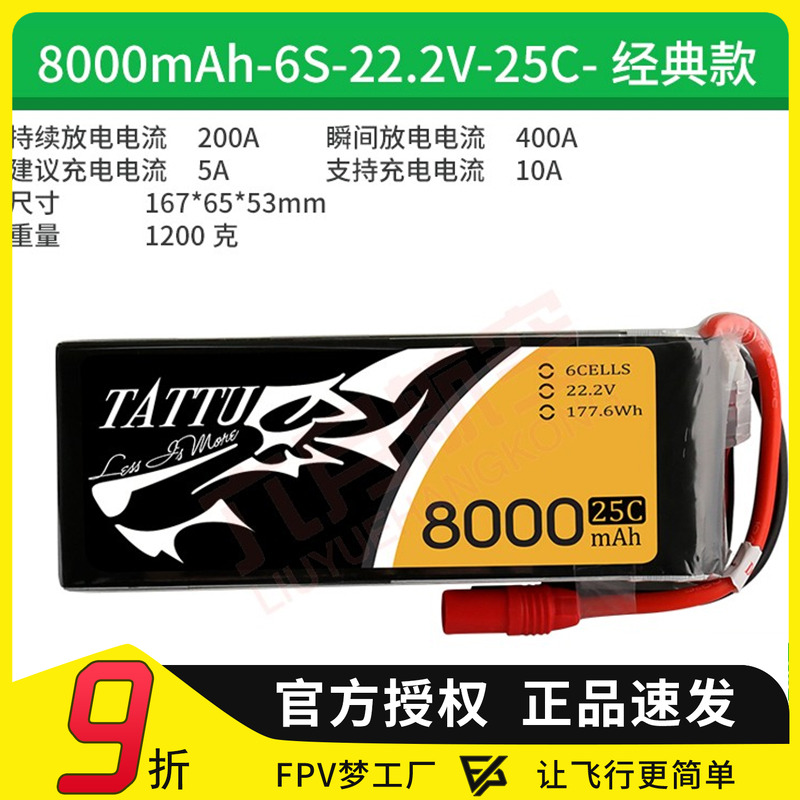 ACE格氏8000mAh毫安锂电池