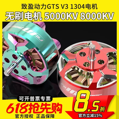 致盈动力GTSV31304电机
