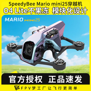 Mini25穿越机全套到手飞高清模拟FPV Pro图传 Mario SpeedyBee