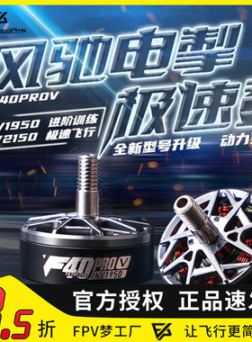 FPV TMOTOR F40 PROⅤ5代 电机 穿越机 马达 FPV 竞速花飞
