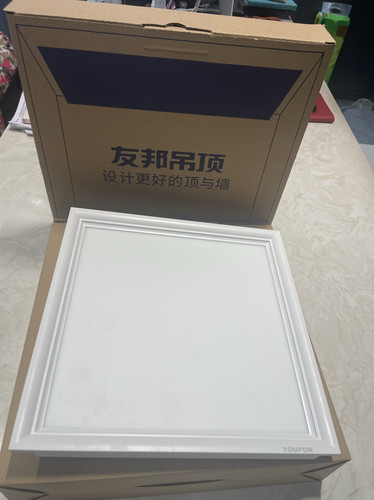 友邦吊顶300*300LED ZD041