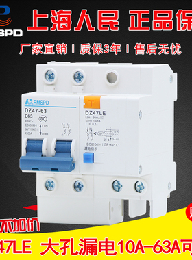 人民漏电保护器出线大孔断路器DZ47LE2P 63A家用总闸漏保空气开关