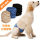 公狗生理裤 男狗狗礼貌带泰迪尿布垫大小宠物水洗尿不湿金毛防交配