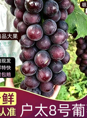 京东空运户县户太8号葡萄