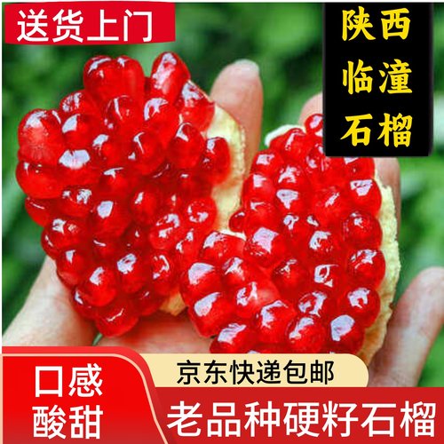 老品种硬籽石榴，正宗临潼石榴