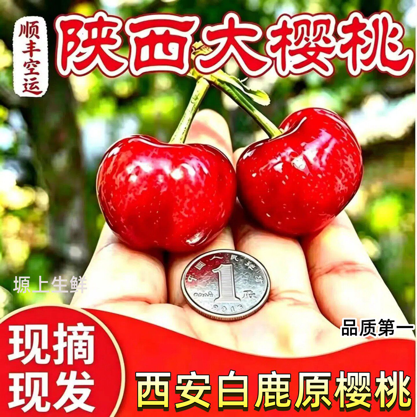 陕西白鹿原大樱桃露天新鲜车厘子水果西安鲜甜大果京东顺丰包邮