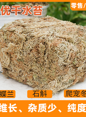 水苔蝴蝶兰专用土智利毛毛虫乌龟冬眠兰花营养土干水苔藓爬宠垫材