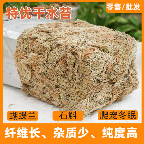 【人工挑选】【无杂质】干水苔