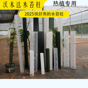 沃木达水苔柱龟背竹爬藤墙植物固定热植附生植物攀爬柱新型水台柱